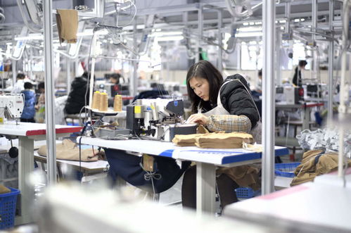 服裝輔料制造業沖刺開門紅，企業生產忙助力經濟穩增長
